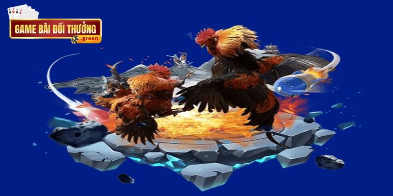 Đánh giá RIK88: Nền tảng giải trí đáng tin cậy và hấp dẫn 3 Sảnh đá gà cung cấp đa dạng các trận đấu cho bạn trải nghiệm